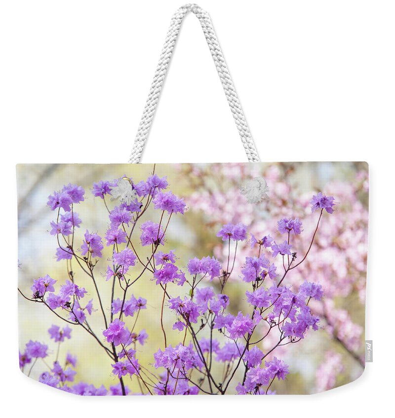 Jenny Rainbow Fine Art Photography Weekender Tote Bag featuring the photograph Spring Watercolors. Blooming Rhododendron by Jenny Rainbow