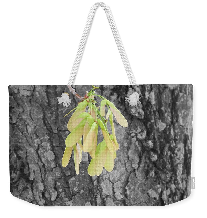 Whirligig Weekender Tote Bag featuring the photograph Spring Whirligig by Colleen Cornelius