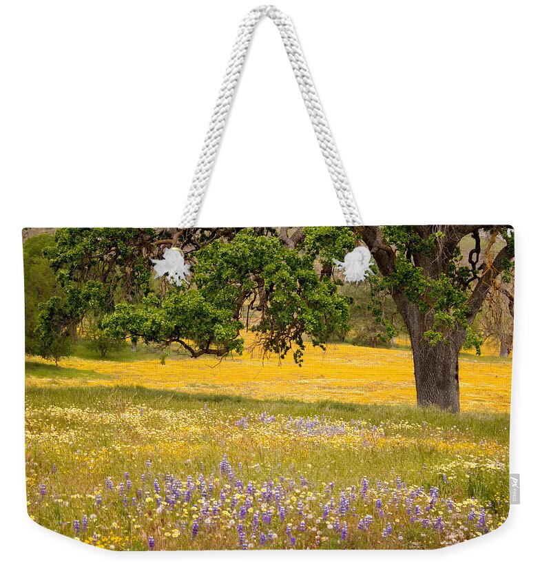 Spring Weekender Tote Bag featuring the photograph Spring Wildflowers by Carol Leigh