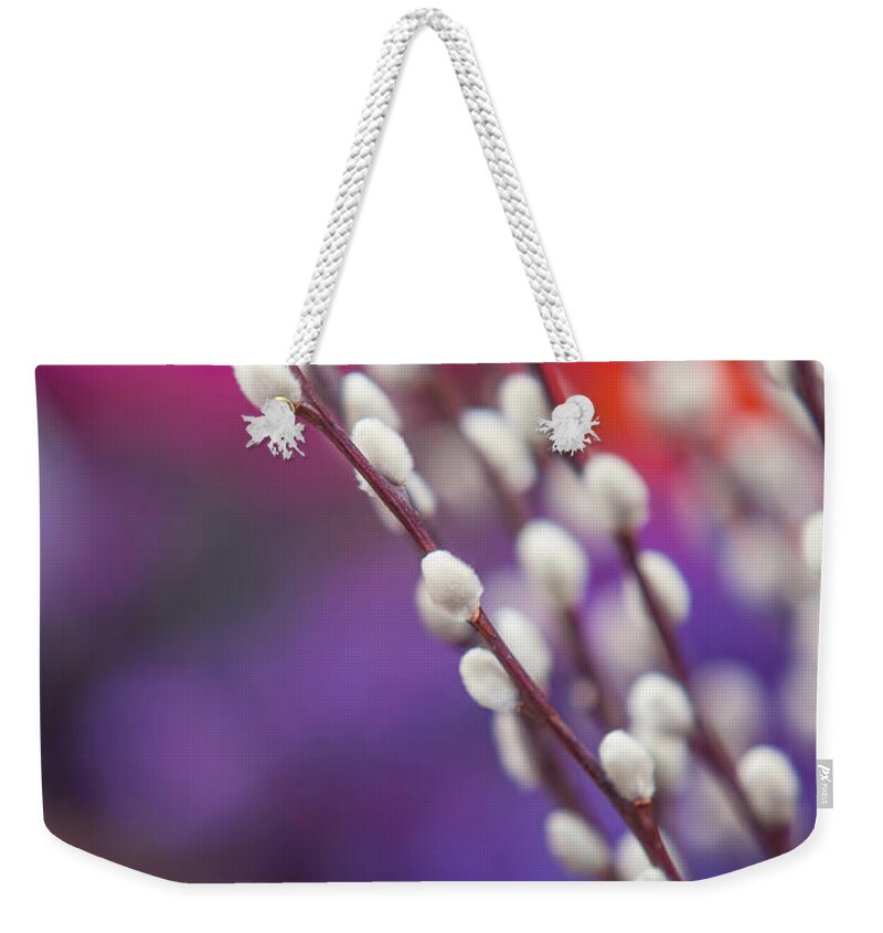 Jenny Rainbow Fine Art Photography Weekender Tote Bag featuring the photograph Spring willow branch of white furry catkins by Jenny Rainbow