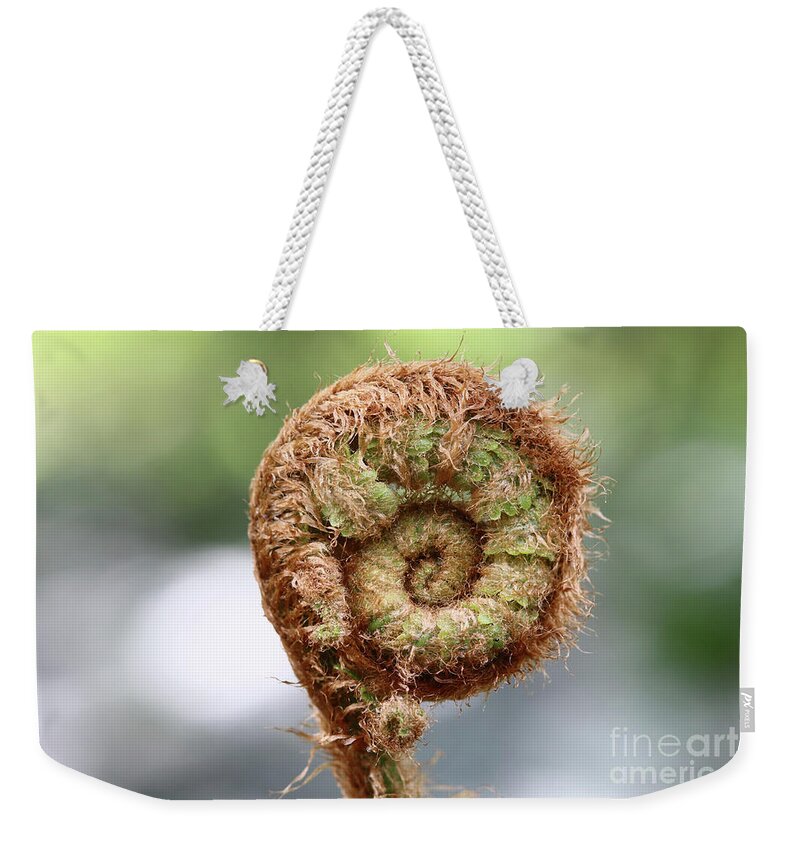 Sprout Weekender Tote Bag featuring the photograph Sprout of ferns by Michal Boubin