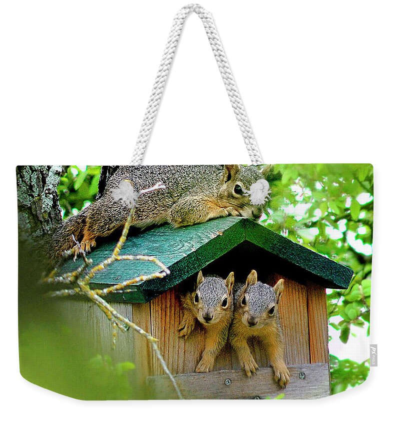 Squirrel Weekender Tote Bag featuring the photograph Squirrel Family Portrait by Ted Keller