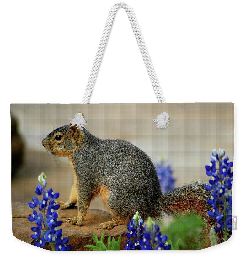 Squirrel Weekender Tote Bag featuring the photograph Squirrel in Texas Bluebonnets by Ted Keller
