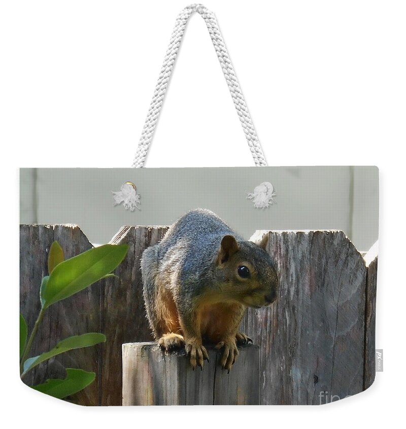 Small Squirrel Weekender Tote Bag featuring the photograph Squirrel on Post by Felipe Adan Lerma