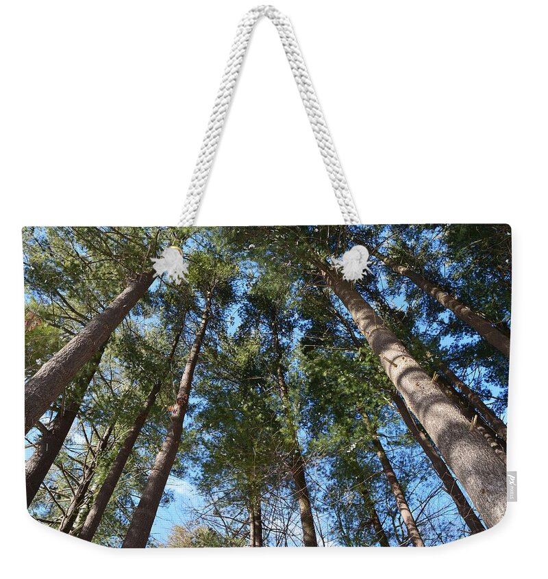 Trees Weekender Tote Bag featuring the photograph Squirrels Highway by Dani McEvoy