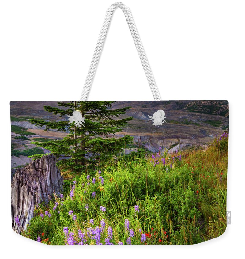 America Weekender Tote Bag featuring the photograph St Helens Caldera by Inge Johnsson