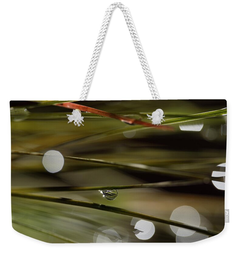 Water Drop Weekender Tote Bag featuring the photograph Stability Among Chaos by Mike Eingle