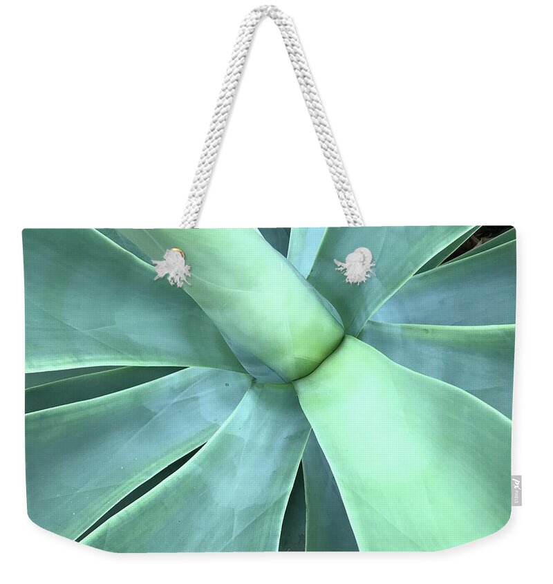 Flowers Weekender Tote Bag featuring the photograph Stalk 2 by Jean Wolfrum