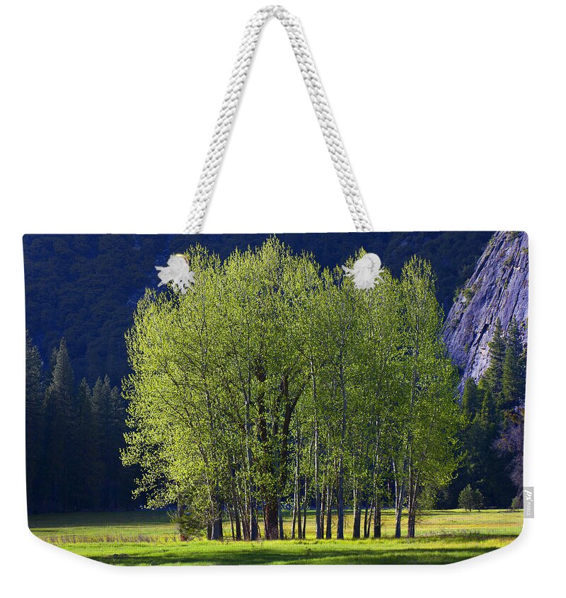 Trees Weekender Tote Bag featuring the photograph Stand of trees Yosemite Valley by Garry Gay