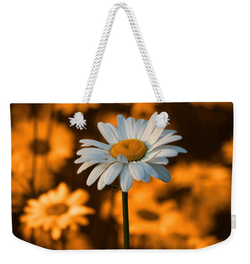 Daisy Weekender Tote Bag featuring the photograph Standing Alone by Linda McRae