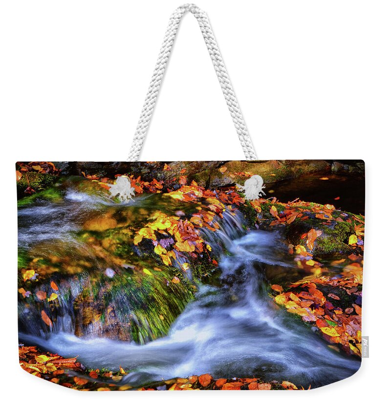 Waterfall Weekender Tote Bag featuring the photograph Standing In Motion - Leaves On A Rock 007 by George Bostian
