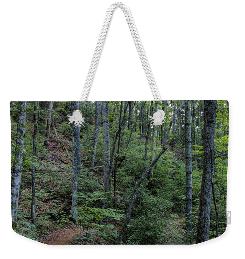 Stanly Gap Trail Weekender Tote Bag featuring the photograph Stanly Gap Trail by Barbara Bowen