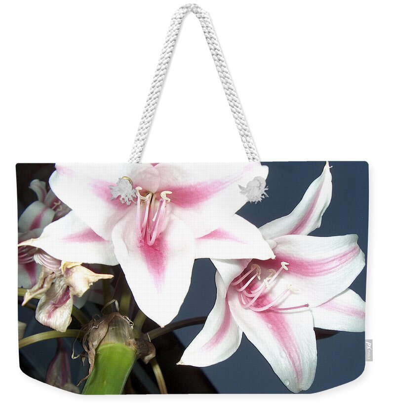 Star Flower Weekender Tote Bag featuring the photograph Star Flower by Bertie Edwards
