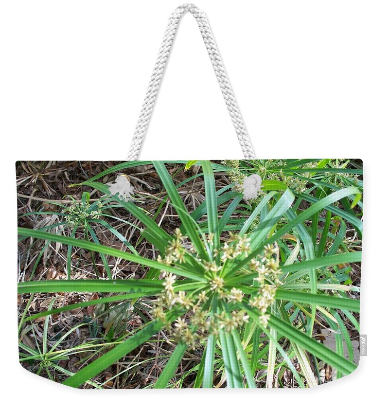 Star Of The Pond Weekender Tote Bag featuring the photograph Star of the Pond by Seaux-N-Seau Soileau