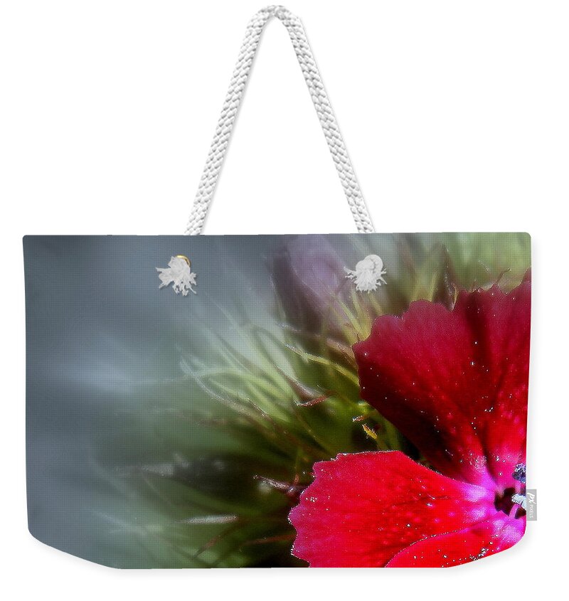 Flower Weekender Tote Bag featuring the photograph Stardust by Elfriede Fulda