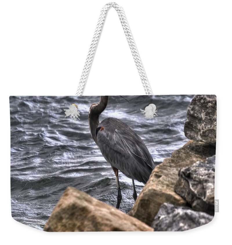 Buffalo Weekender Tote Bag featuring the photograph Staren Blue Heron by Michael Frank Jr