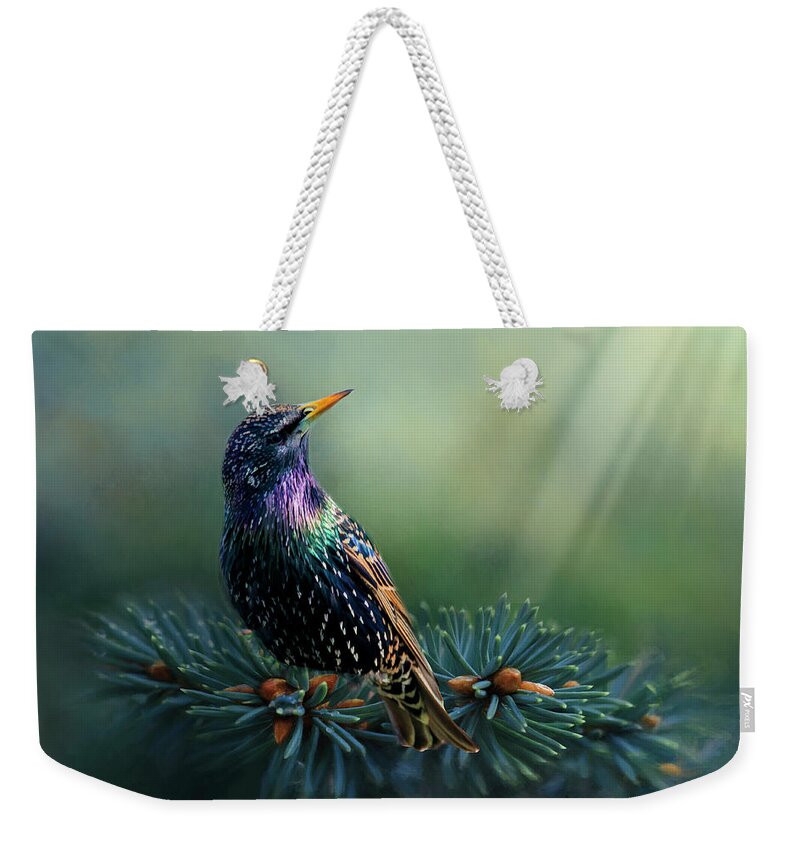 Bird Weekender Tote Bag featuring the photograph Starling by Cathy Kovarik