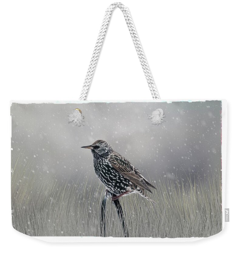 Avian Weekender Tote Bag featuring the photograph Starling In Winter by Cathy Kovarik