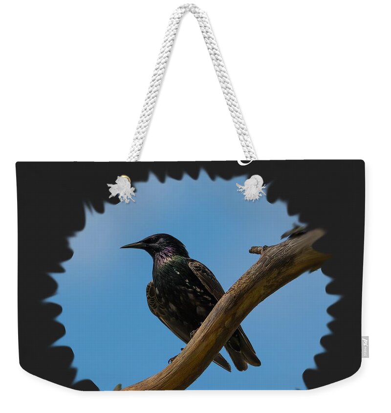 Starling Weekender Tote Bag featuring the photograph Starling  by Holden The Moment