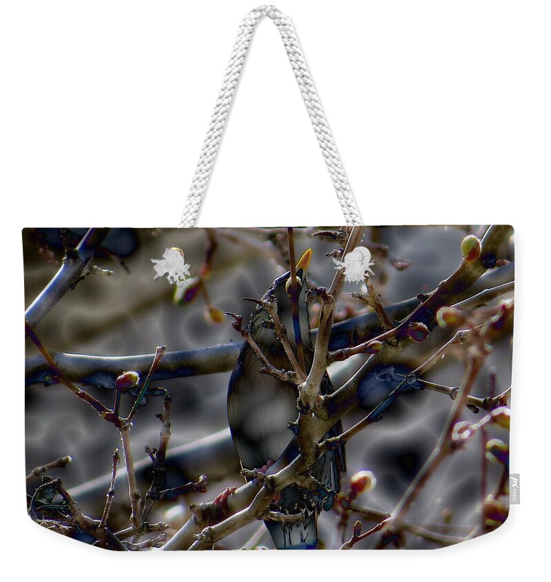 Starling Weekender Tote Bag featuring the photograph Starling by Jean Evans