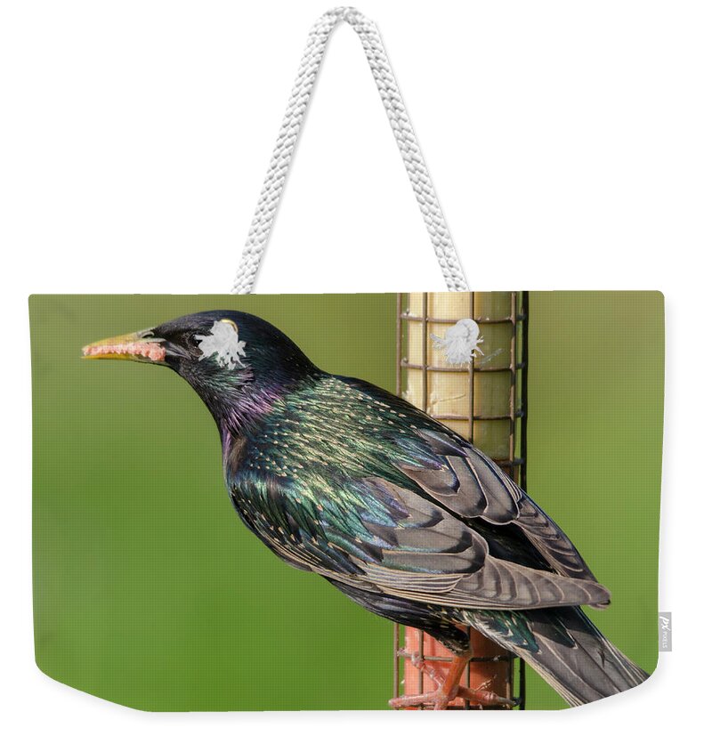 Starling Weekender Tote Bag featuring the photograph Starling on feeder by Steev Stamford