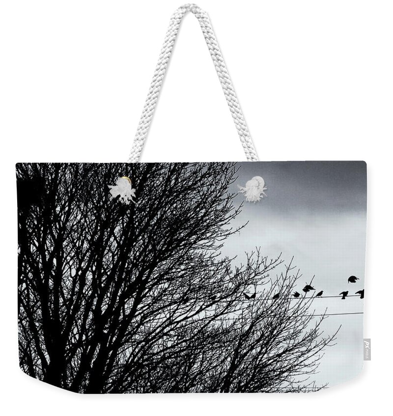 Starlings Weekender Tote Bag featuring the photograph Starlings Roost by Philip Openshaw