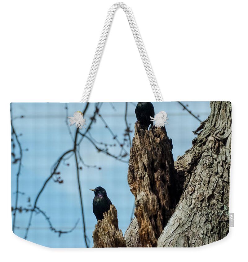 Jan Holden Weekender Tote Bag featuring the photograph Starlings Times Two by Holden The Moment