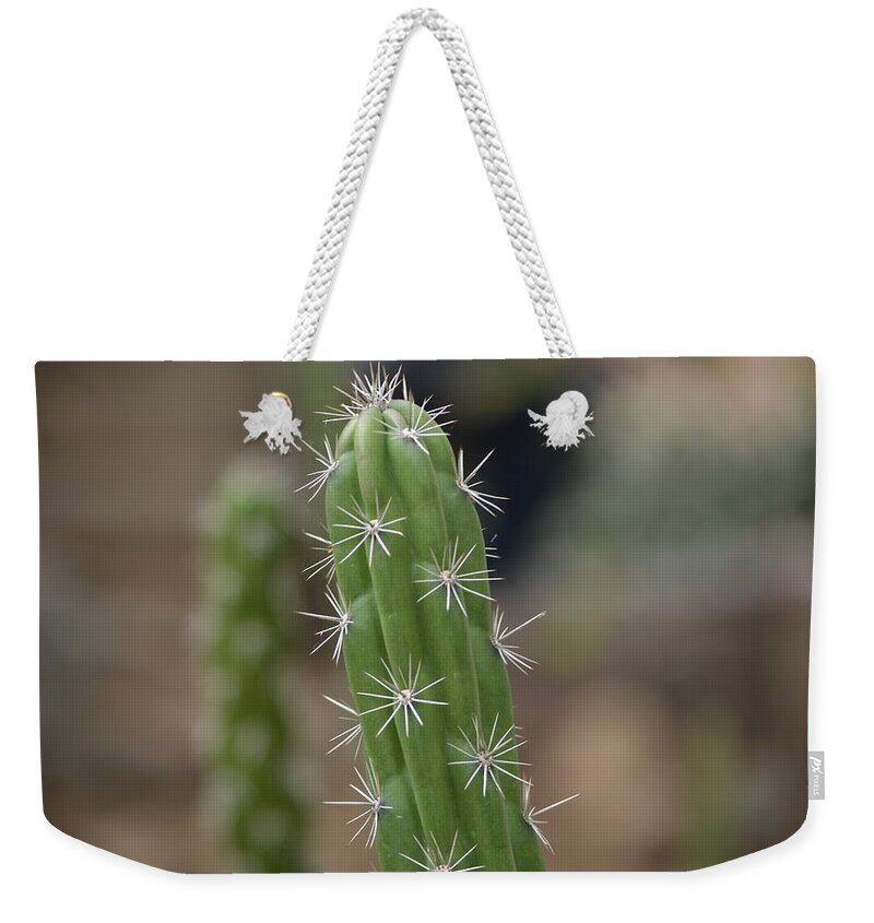 Cactus Weekender Tote Bag featuring the photograph Stay Sharp by Carolyn Mickulas