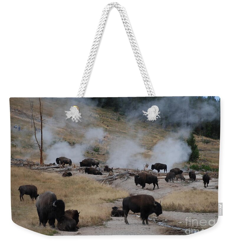 Bison Weekender Tote Bag featuring the photograph Steam Bath by Jim Goodman