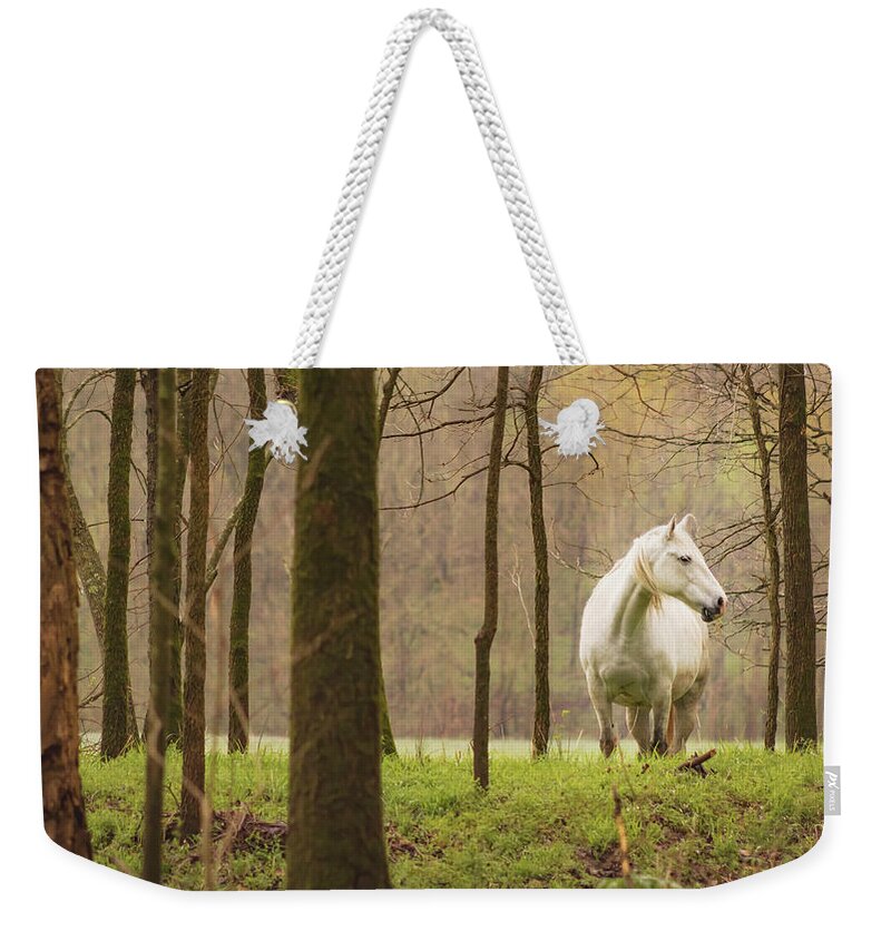 Missouri Wild Horses Weekender Tote Bag featuring the photograph Stepping into the Wild by Holly Ross