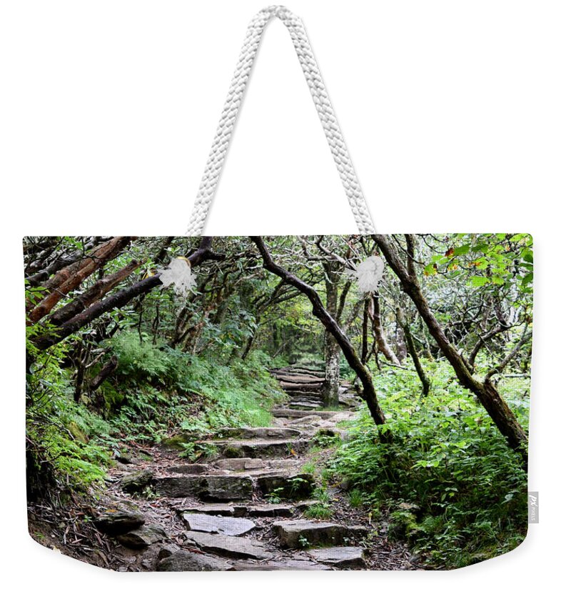 Forest Weekender Tote Bag featuring the photograph Steps Into the Enchanted Forest by Gary Smith
