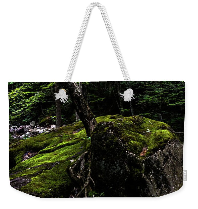 River Weekender Tote Bag featuring the photograph Stevensville Brook in Underhill, Vermont - 4 by James Aiken