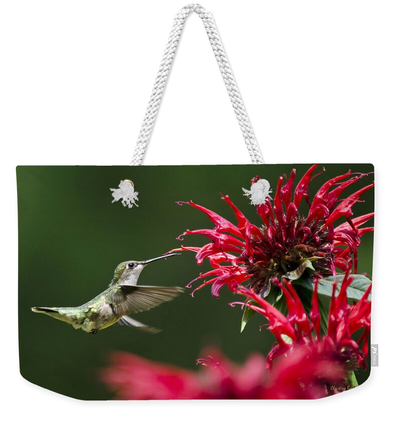 Hummingbirds Weekender Tote Bag featuring the photograph Hummingbird Sticky Sweet by Christina Rollo
