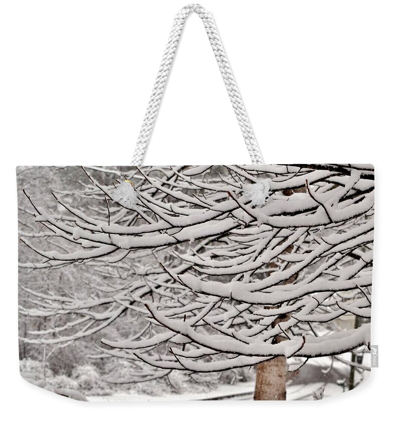 Snow Weekender Tote Bag featuring the photograph Still Aiming Upward by Eileen Brymer