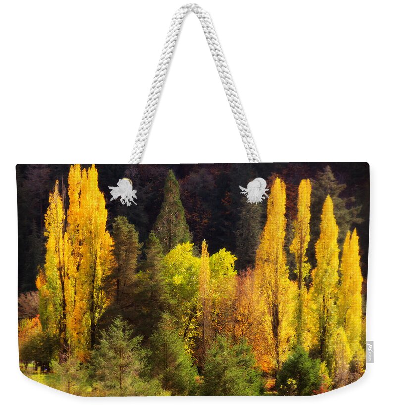 Nature Weekender Tote Bag featuring the photograph Still Golden by KATIE Vigil