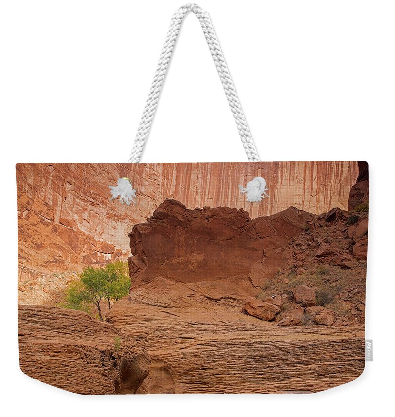 Coyote Gulch Weekender Tote Bag featuring the photograph Still here with you by Kunal Mehra