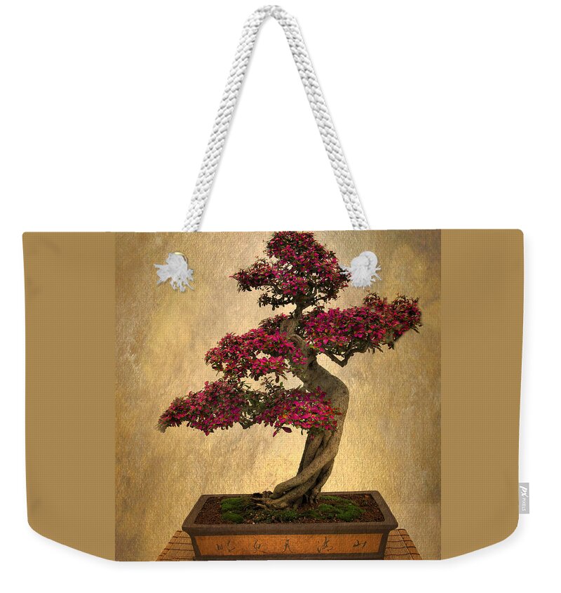 Bonsai Weekender Tote Bag featuring the photograph Still Life Bonsai by Jessica Jenney