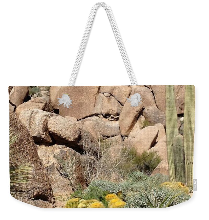 Desert Weekender Tote Bag featuring the photograph Still Life in Desert by Glenda Zuckerman