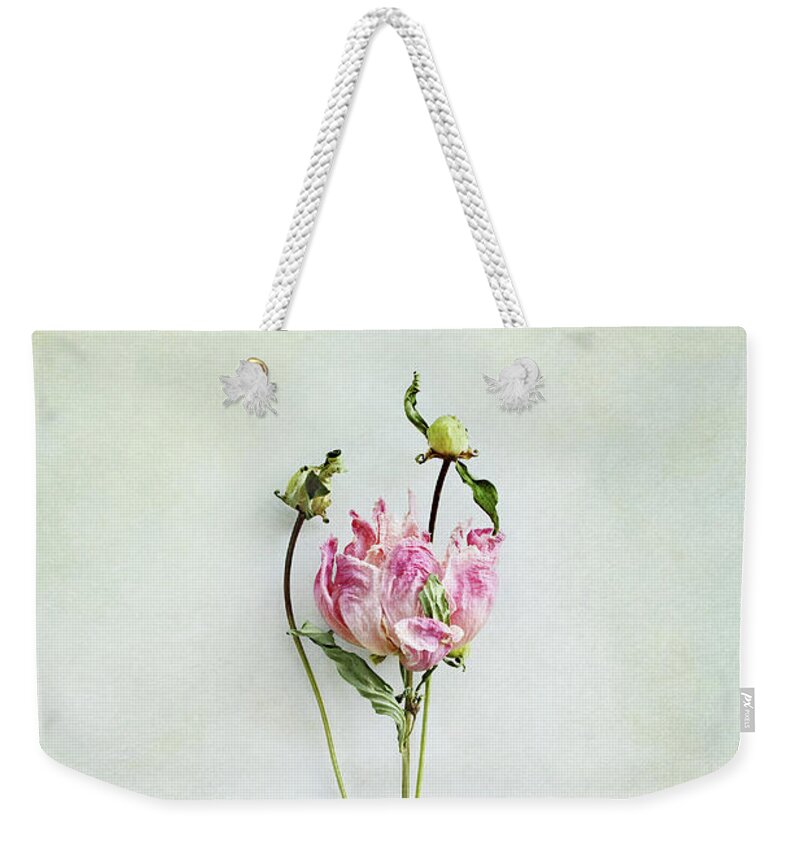 Peony Weekender Tote Bag featuring the photograph Still life of a Peony with texture overlay by Stephanie Frey