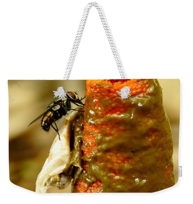 Mutinus Elegans Weekender Tote Bag featuring the photograph Tip Of Stinkhorn Mushroom With Fly by Daniel Reed