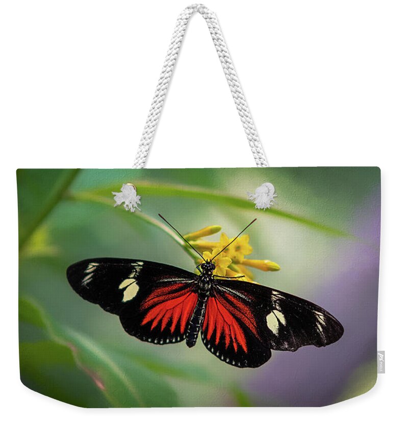 Butterfly Weekender Tote Bag featuring the photograph Butterfly, Stop and Smell the Flowers by Cindy Lark Hartman