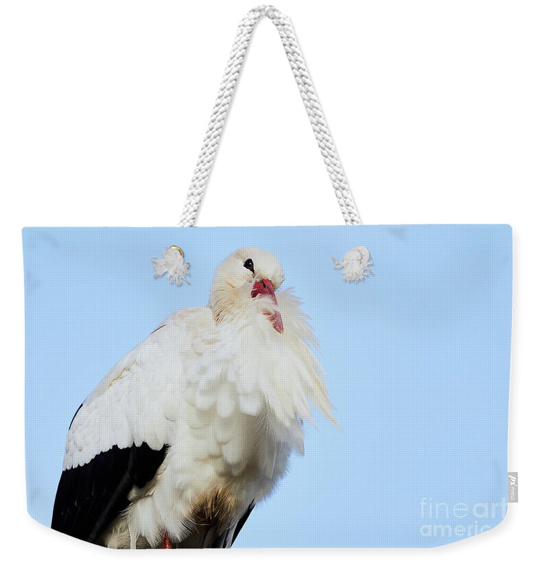 Portrait Weekender Tote Bag featuring the photograph Storck closeup by Nick Biemans