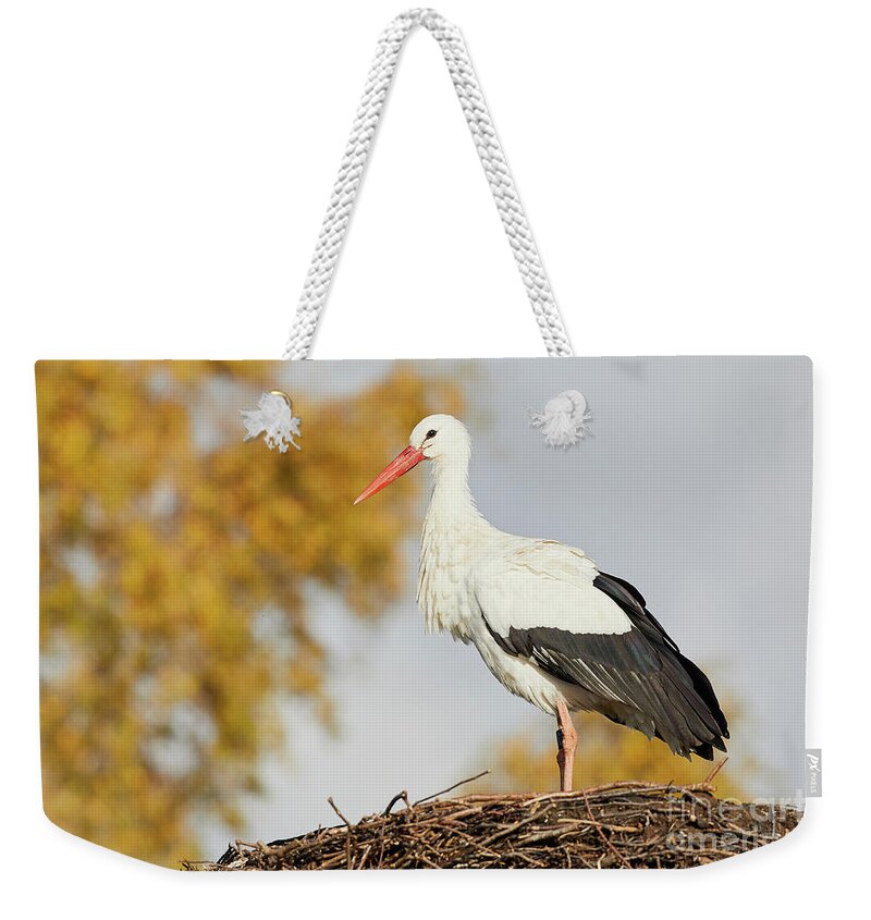 Environment Weekender Tote Bag featuring the photograph Stork on a nest, trees in the background by Nick Biemans