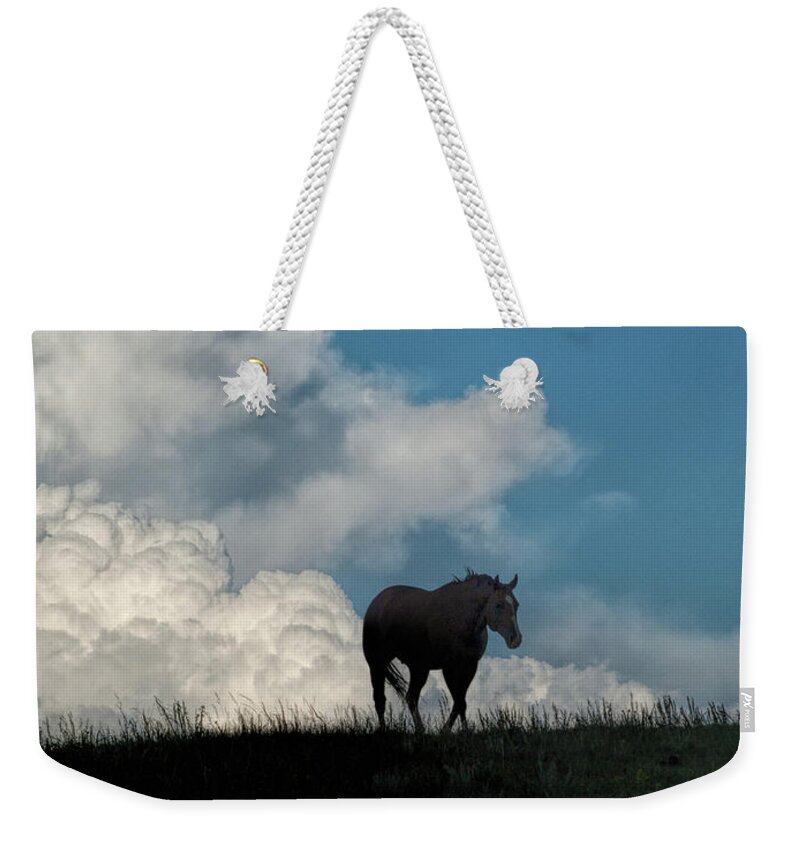 Horse Weekender Tote Bag featuring the photograph Storm Bringer by Alana Thrower