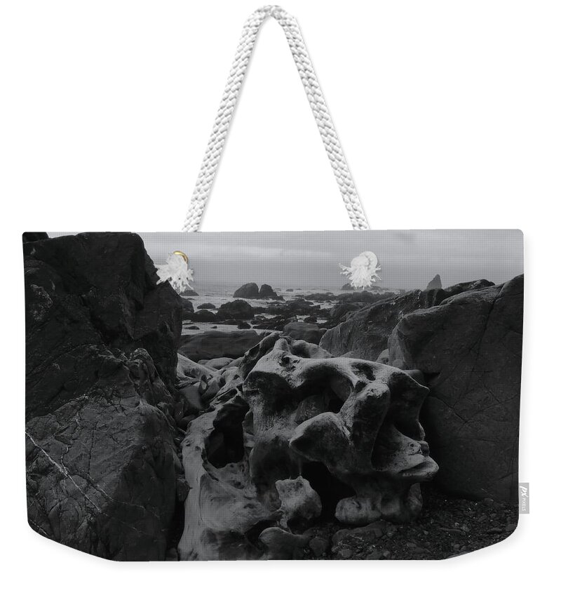 Nature Weekender Tote Bag featuring the photograph Stranded by Vincent Green