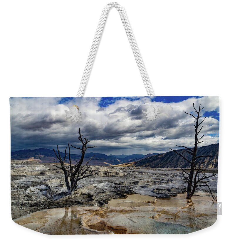 National Weekender Tote Bag featuring the photograph Striking Dead Trees by Roslyn Wilkins