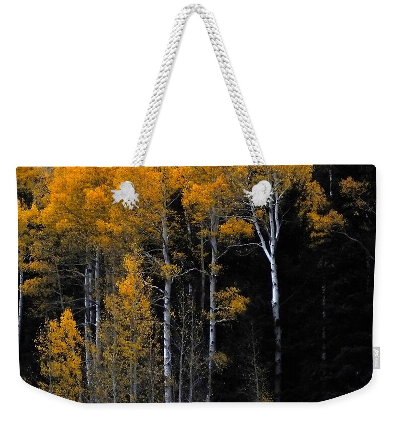 Aspen Trees Weekender Tote Bag featuring the photograph Striking Gold by Charlotte Schafer
