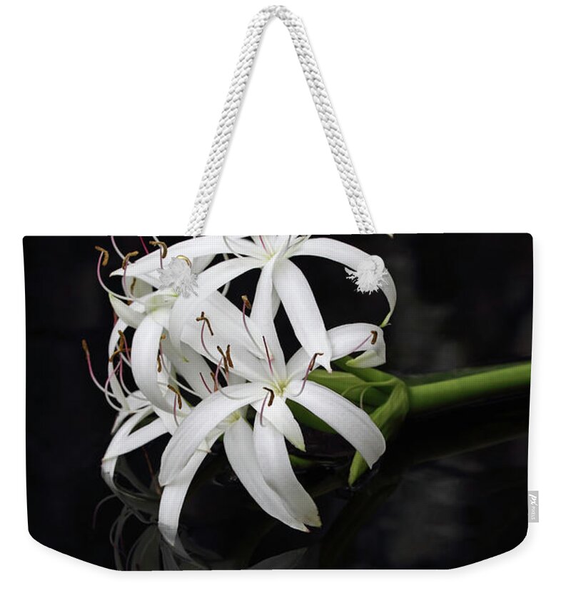 Wildflower Weekender Tote Bag featuring the photograph String Lily #1 by Paul Rebmann