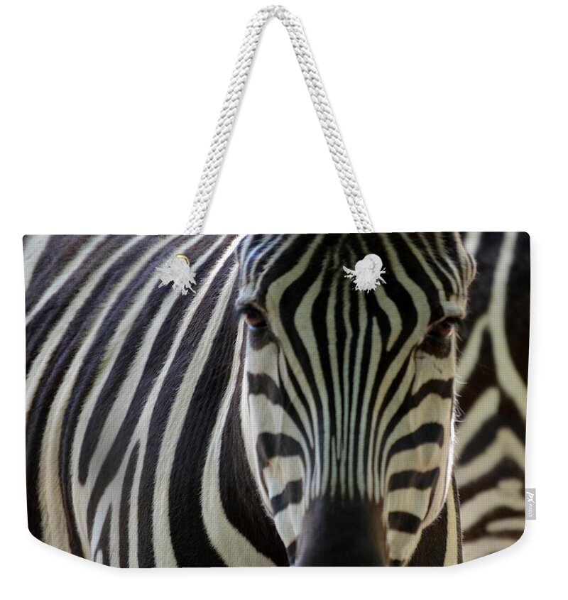 Zebra Weekender Tote Bag featuring the photograph Stripes by Maria Urso