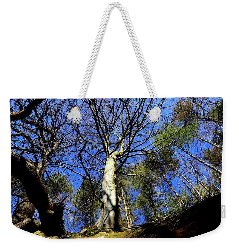 Tree Weekender Tote Bag featuring the photograph Strong nature by Lukasz Ryszka